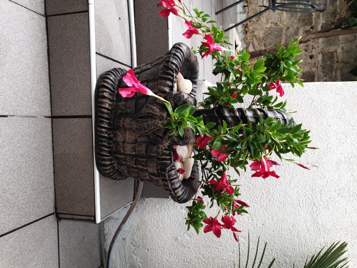 Hotel Lemon Tree Donji Seget Esterno foto